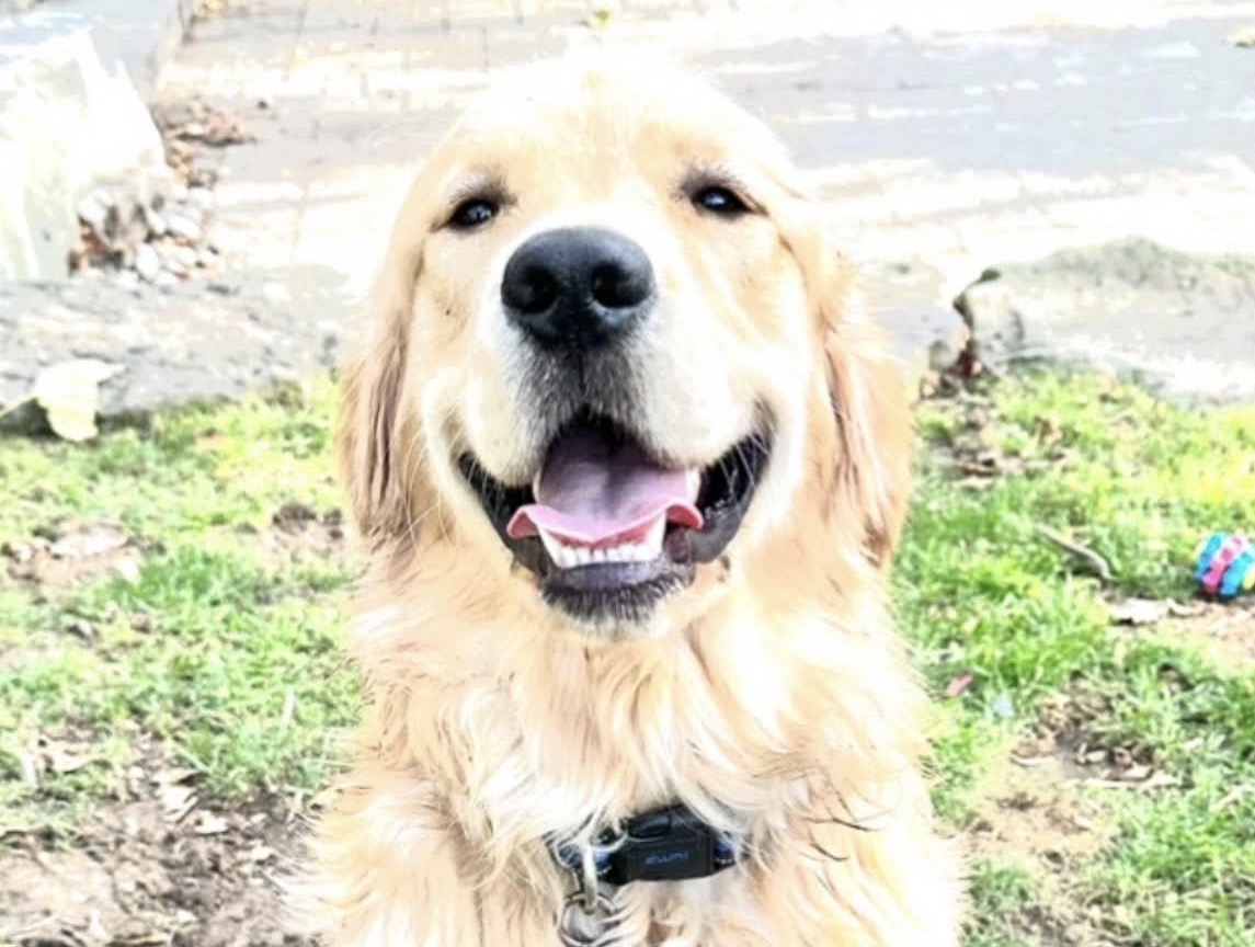 Oakley