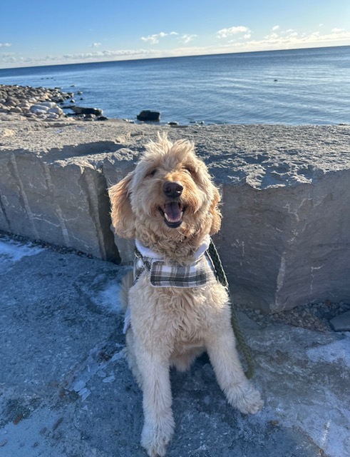 Happy Pancho