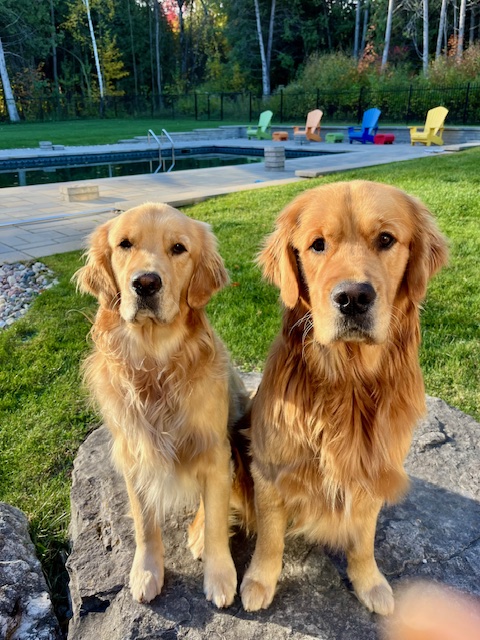 Ryder & Oakley